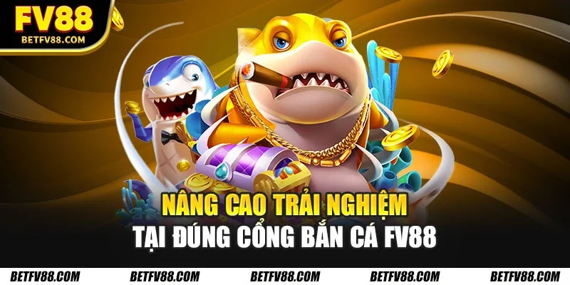 Nâng cao trải nghiệm tại đúng cổng bắn cá FV88