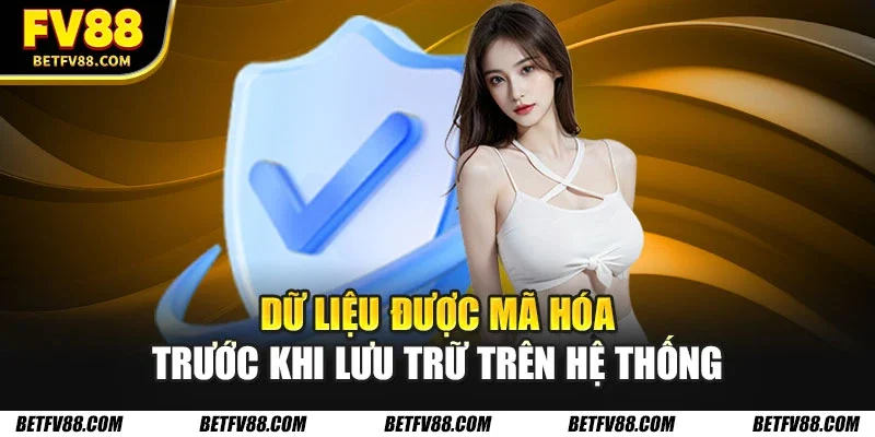 Dữ liệu được mã hóa trước khi lưu trữ trên hệ thống