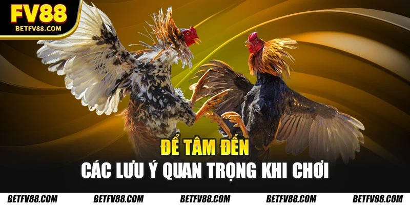 Để tâm đến các lưu ý quan trọng khi chơi